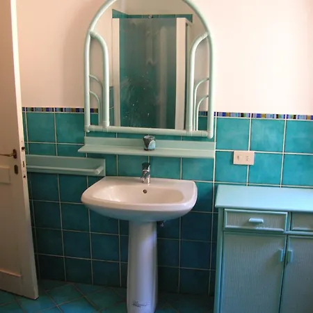 Eucalipti Immersa Nel E Sul Mare *