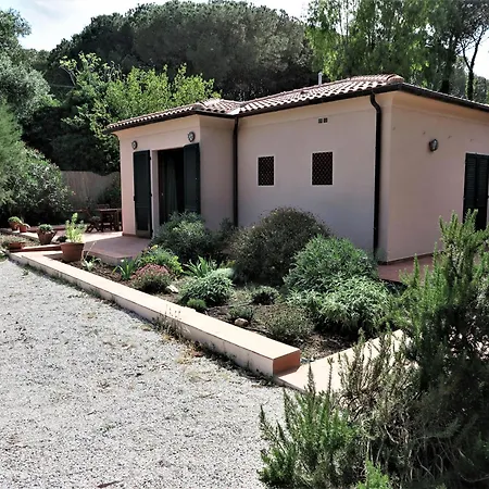 Eucalipti Immersa Nel E Sul Mare Holiday home *