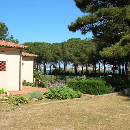 Eucalipti Immersa Nel E Sul Mare